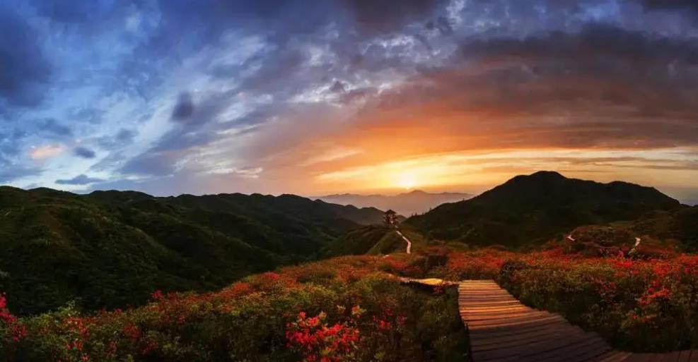 大围山13.jpg
